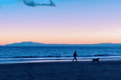 海辺を夕焼けの中を犬とあるく女性 A woman walking with her dog along the beach at sunset.