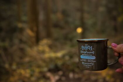 A winter forest in the afternoon sun. A person walking in stillness with a cup of cooled coffee, discovering small winter strawberries amidst the crisp, cold air.午後の柔らかな日差しが差し込む冬の森。冷めたコーヒーを手に静寂の中を歩み、足元に見つけた小さな冬いちごと、身体に触れる冷たい空気の情景。