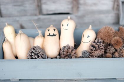 A tranquil still life of pine cones and gourds carefully tucked into a wooden crate, embodying the spirit of a "giftbox" and wabi-sabi. （木箱に丁寧に詰められた松ぼっくりと瓢箪の静謐な静物。giftboxの精神と、侘び寂びを体現している。