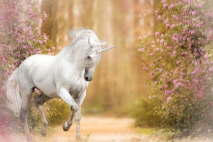 Gentle spring sunlight illuminating a thin branch, symbolizing the "Free to Shine" message in Marie's poetry. （細い枝先を照らす柔らかな春の陽光。マリエの詩の「自由な輝き」というメッセージを象徴している。）