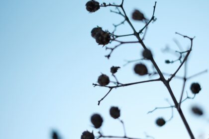 A gray sky and vibrating landscape reflecting the "Cradle of Love in the Cracks," capturing a moment of intense devotion. （「割れていく道の中の愛のゆりかご」を映し出す鼠色の空と震える景色。深い献身の瞬間を捉えた一枚。