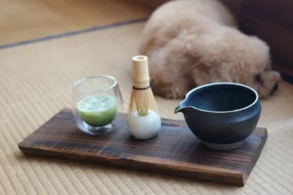 Toypoodle Aman, resting by the tea set in a traditional Japanese room. Wabisabi